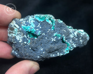 Chrysocolla -  Planet Mine #3