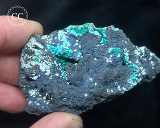 Chrysocolla -  Planet Mine #3