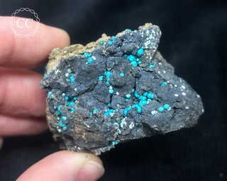 Chrysocolla -  Planet Mine #4