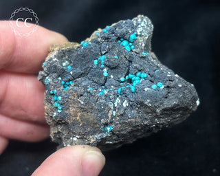 Chrysocolla -  Planet Mine #4