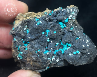 Chrysocolla -  Planet Mine #4