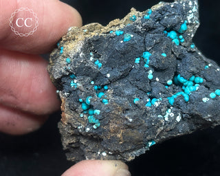 Chrysocolla -  Planet Mine #4