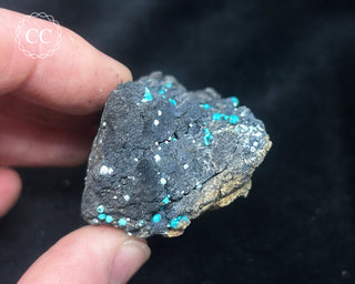 Chrysocolla -  Planet Mine #4
