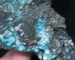 Chrysocolla -  Planet Mine #1