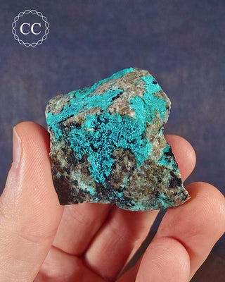 A hand holding a Chrysocolla specimen from Tyrone, New Mexico, USA