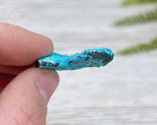 Chrysocolla Specimen - New Mexico #11