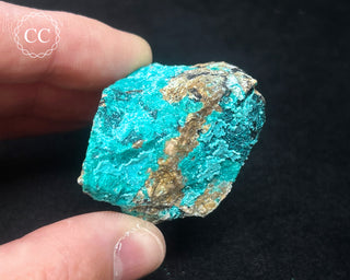 Chrysocolla Specimen - New Mexico #3