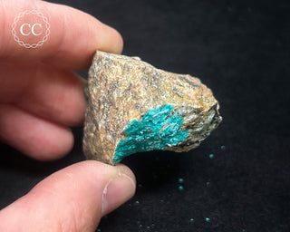 Chrysocolla Specimen - New Mexico #3