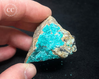 Chrysocolla Specimen - New Mexico #3
