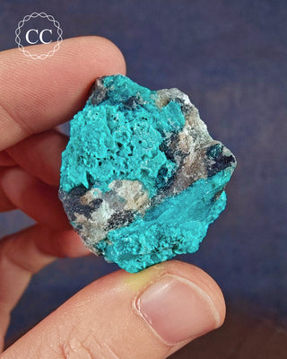 A hand holding a Chrysocolla specimen from Tyrone, New Mexico, USA