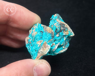 Chrysocolla Specimen - New Mexico #5