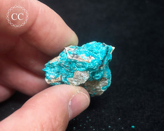 Chrysocolla Specimen - New Mexico #5