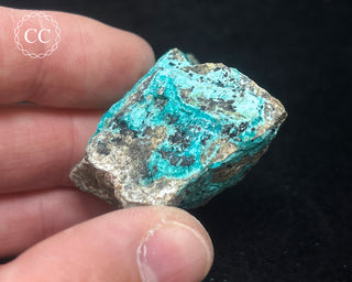 Chrysocolla Specimen - New Mexico #7
