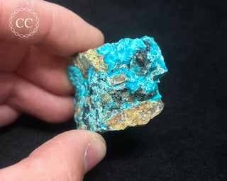 Chrysocolla Specimen - New Mexico #2