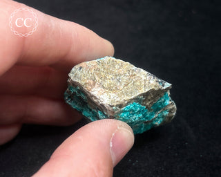 Chrysocolla Specimen - New Mexico #7