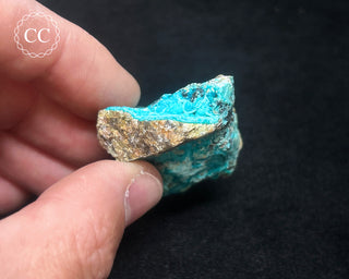 Chrysocolla Specimen - New Mexico #2