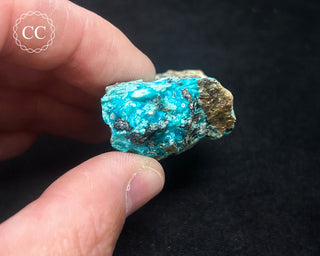 Chrysocolla Specimen - New Mexico #2