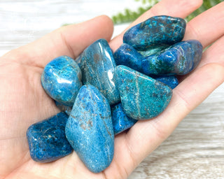 Chrysocolla & Shattuckite Tumbled Crystal