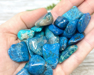 Chrysocolla & Shattuckite Tumbled Crystal