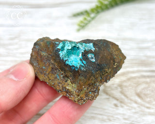 Chrysocolla and Rosasite Specimen #1