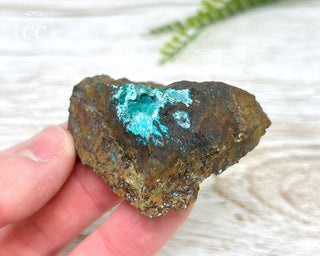 Chrysocolla and Rosasite Specimen #1