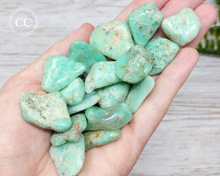 Chrysoprase Tumbled Crystals in hand