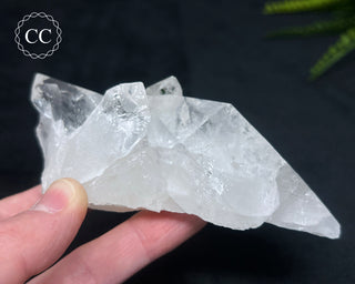 Clear Quartz Cluster #2