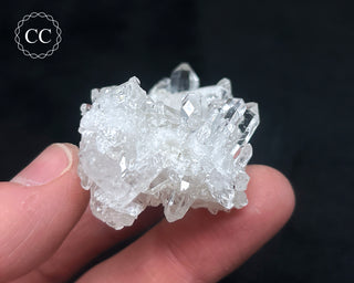 Clear Quartz Cluster #10