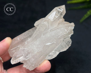 Clear Quartz Cluster #16