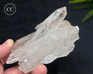 Clear Quartz Cluster #16