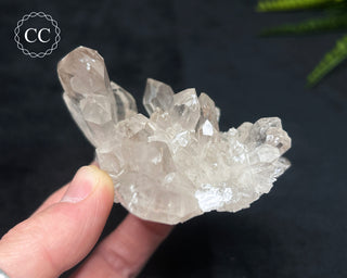 Clear Quartz Cluster #14