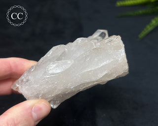 Clear Quartz Cluster #16