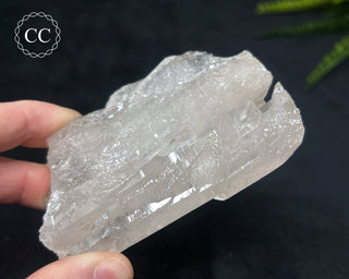 Clear Quartz Cluster #16