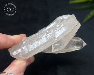 Clear Quartz Cluster #16