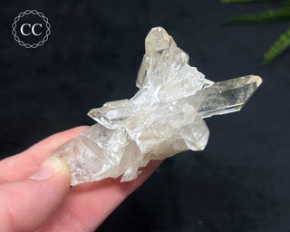 Clear Quartz Cluster #12