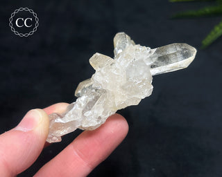 Clear Quartz Cluster #12