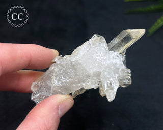 Clear Quartz Cluster #12
