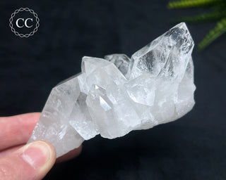 Clear Quartz Cluster #2
