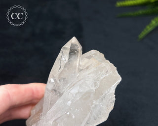 Clear Quartz Cluster #16