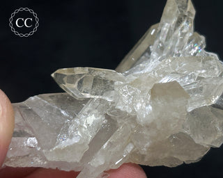 Clear Quartz Cluster #12