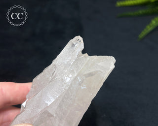 Clear Quartz Cluster #16