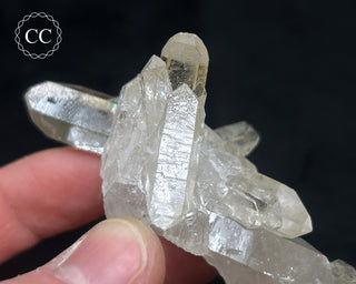 Clear Quartz Cluster #12