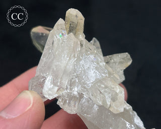 Clear Quartz Cluster #12