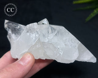 Clear Quartz Cluster #2