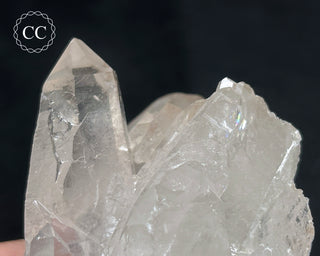 Clear Quartz Cluster #16
