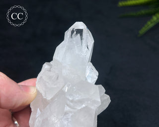 Clear Quartz Cluster #2