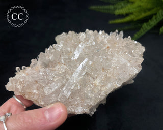 Clear Quartz Cluster #17