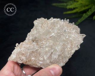 Clear Quartz Cluster #17