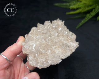 Clear Quartz Cluster #17