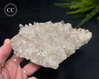 Clear Quartz Cluster #17